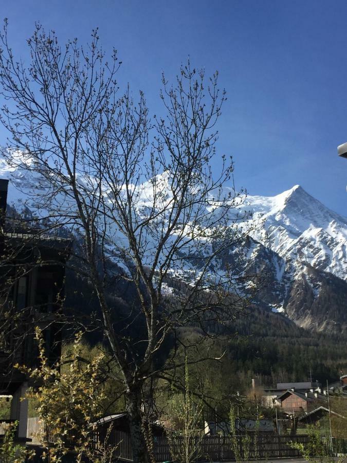 Grand Paradis 霞慕尼 外观 照片